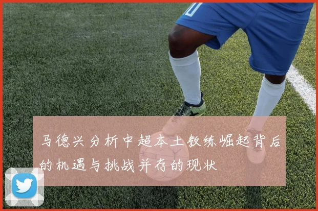 马德兴分析中超本土教练崛起背后的机遇与挑战并存的现状