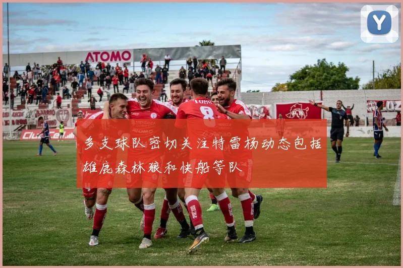多支球队密切关注特雷杨动态包括雄鹿森林狼和快船等队
