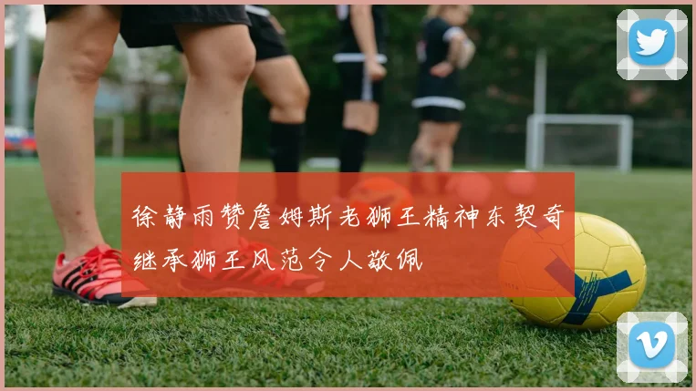 徐静雨赞詹姆斯老狮王精神东契奇继承狮王风范令人敬佩