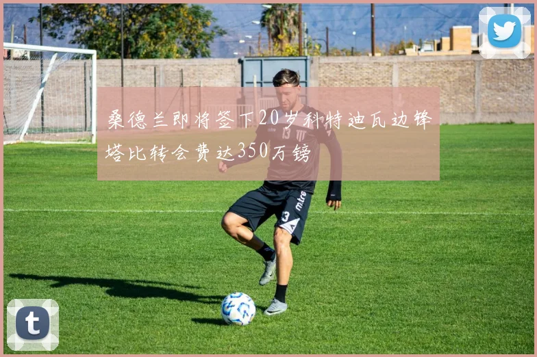 桑德兰即将签下20岁科特迪瓦边锋塔比转会费达350万镑